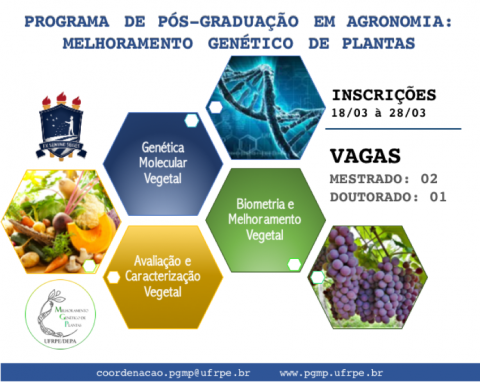 EDITAL PARA PROCESSO SELETIVO EXTRA 2022.1 EM NÍVEL DE MESTRADO/DOUTORADO EDITAL PARA PROCESSO SELETIVO EXTRA 2022.1 EM NÍVEL DE MESTRADO/DOUTORADO